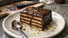 Bisküvili pasta tarifi: Sıcak kakaolu muhallebiyle kat kat, fırınsız ve tam kıvamında